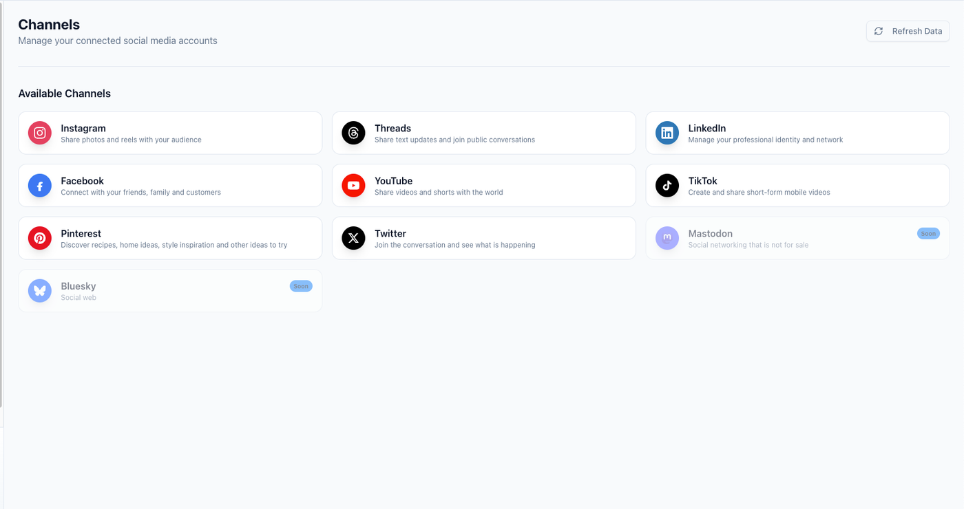 Channel overview used to compare how different social platforms contribute distinct traffic and engagement patterns.