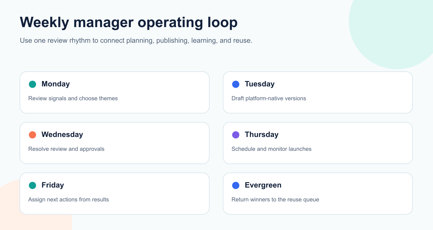 Weekly operating loop for social media managers